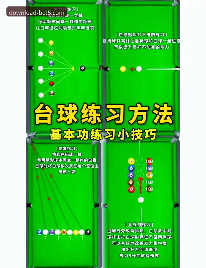 深度揭秘：随时随地体育投注使用指南——老用户亲测的五大核心技巧